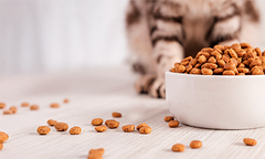 Collection image for: Alimentos