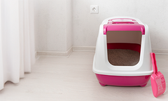 Collection image for: Bandejas