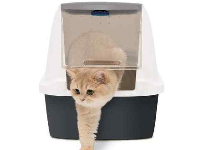 Cat it litera magic blue 57 x 46,5 x 39 cm