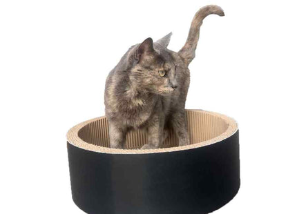 Rascat Cama Rascador Circular